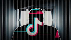 欄杆後的人物剪影，疊加 TikTok 標誌。 — TikTok 動圖 壁紙