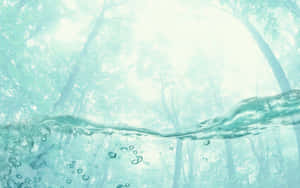 水下森林場景，氣泡向陽光照耀的樹木上升。 — 明亮 壁紙