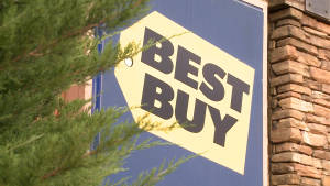 被松樹枝葉部分遮擋的Best Buy商店招牌。