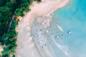 海灘圖片