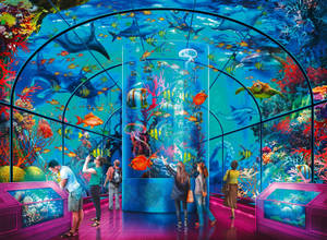 人們在大型水族館隧道中欣賞色彩繽紛的魚類和珊瑚。 — 水族箱 壁紙