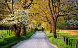 鄉村風景圖片 — 鄉村道路 壁紙