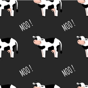 黑白卡通牛，粉紅色鼻子和「MOO！」文字，灰色背景。 — iPad Air 11 壁紙