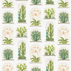 玻璃罩內的仙人掌和蘭花植物插圖，白色壁紙。 — 太空美學動圖 壁紙