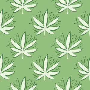 綠色背景，帶有奶油色大麻葉圖案。 — 酷炫大麻 壁紙