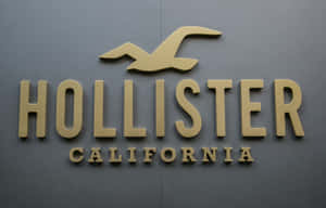 Hollister California商店標誌，灰色牆上有海鷗標誌。 — Hollister 壁紙