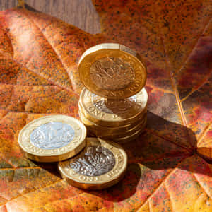 在明亮陽光下，一堆英國一英鎊硬幣放在色彩繽紛的秋葉上。 — 金錢 壁紙