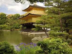 金色寺廟亭閣被水和綠植環繞，點綴著紫色花朵。 — 日式審美桌面 壁紙