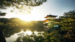 日出時的金色寺廟亭閣倒映在寧靜的池塘中，周圍環繞著樹木。 — 日式 壁紙