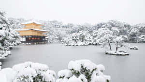 被雪覆蓋的金色寺廟，被雪樹和寧靜的水環繞。 — 冬季風景 壁紙