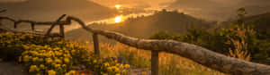 夕陽照耀霧氣繚繞的山巒、河流和木柵欄後的黃色花朵 — 32:9 壁紙