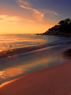 夕陽海浪沖刷著靠近岩石懸崖的沙灘，懸崖上有樹木 — 自然風景動圖 壁紙