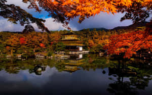 金色寺廟倒映在平靜的水中，鮮豔的秋樹框住場景。 — 日式 壁紙