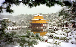 雪中的金色寺廟，松樹和池塘倒影 — 冬季風景 壁紙