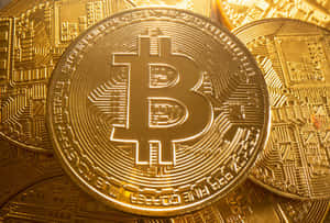 一堆帶有電路板設計的金色比特幣硬幣。 — 比特幣 GIF 壁紙