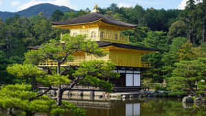 金色寺廟倒映在池塘中，背景有綠樹和山脈 — 金廟 壁紙