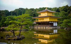 金色寺廟倒映在池塘中，周圍有綠樹 — 日本 壁紙