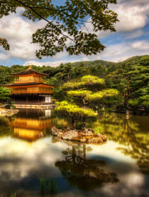 金色寺廟倒映在平靜的池塘中，有綠色樹木和藍天。 — 2048x2732 壁紙