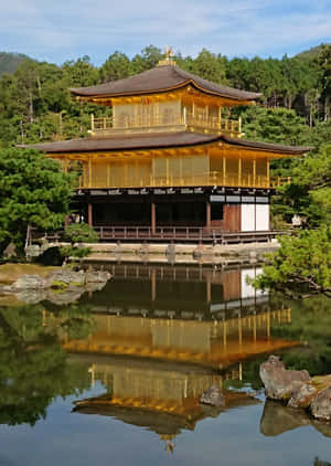 金色寺廟倒映在平靜池塘中，伴隨著綠樹和藍天 — 金廟 壁紙