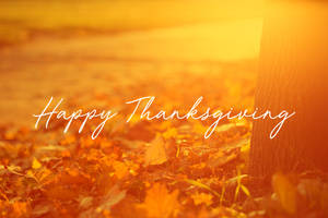 秋葉與樹幹，在溫暖陽光下帶有「Happy Thanksgiving」文字。 — 秋天 壁紙