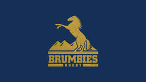 Brumbies Rugby標誌，藍色背景上有一座山和一匹金色馬。 — 野生動物 壁紙