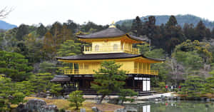 金色寺廟被綠樹和池塘環繞 — 京都 壁紙