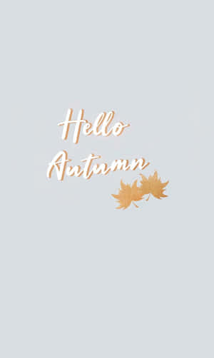 灰色背景上帶有兩片金色楓葉的 Hello Autumn 文字 — Infinix Xpad 20 Pro 壁紙