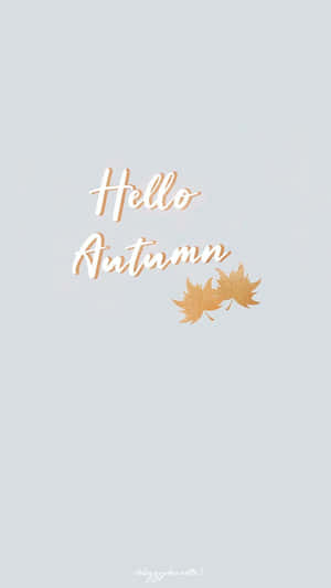 灰色背景上的Hello Autumn文字與金色葉子 — 可愛秋天 壁紙