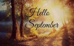 湖邊的森林小徑，金色陽光和「Hello September」文字。 — 九月 壁紙