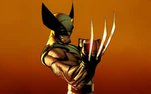 金鋼狼（Wolverine）在橙色背景下以戰鬥姿勢伸出爪子。 — 金鋼狼 壁紙