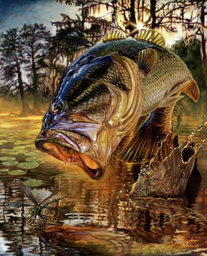 鱸釣 — 鱸魚釣魚 壁紙