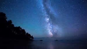星空下黑暗海灘上的銀河系與樹木剪影 — 海灘 壁紙