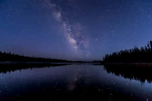 在繁星點點的夜空下，銀河系倒映在平靜的湖面上，周圍環繞著松樹。 — 美麗的夜晚 壁紙