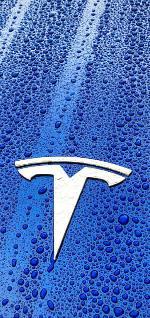 藍色引擎蓋上帶水滴的銀色 Tesla 標誌。 — iPhone 12 mini 壁紙