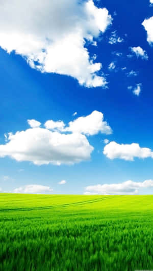鎖屏圖片