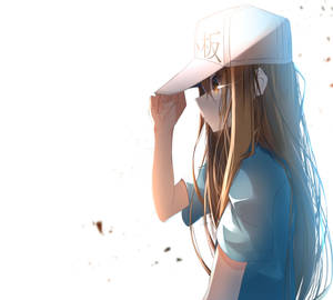 戴白色帽子和藍色襯衫的動漫女孩在明亮光線下調整帽子。 — 細胞的工作 壁紙