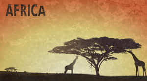 日落時分，兩隻長頸鹿在金合歡樹下，帶有「AFRICA」文字。 — 日落 壁紙