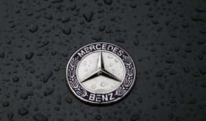 賓士標誌在濕黑色引擎蓋上，帶有雨滴 — Mercedes Benz C300 壁紙