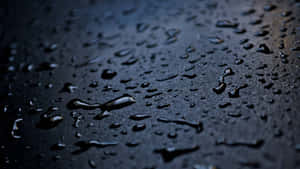 深色紋理表面上的雨滴特寫。 — 午夜 壁紙