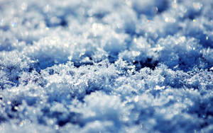 雪晶在陽光下閃爍的特寫，帶有藍白色調。 — 冬季風景 壁紙