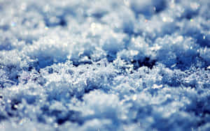 雪花在陽光下閃閃發光的特寫。 — 冰 壁紙