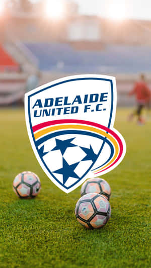 阿德萊德聯足球俱樂部標誌在草地上，背景有足球和體育場。 — 阿德雷德 壁紙