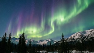 北極光在夜間照耀著積雪的山脈和松樹。 — 美國 壁紙