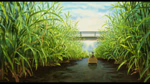 阿莉埃蒂背景 — 亞莉亞蒂 壁紙