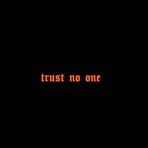 發光的橙色像素文字在黑色背景上說 trust no one。 — 情緒 壁紙