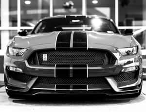 陳列室中帶有賽車條紋的 Shelby Mustang 前視圖。 — 好看汽車 壁紙