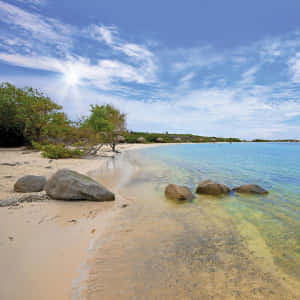 陽光明媚的海灘，碧綠的海水和沿岸的大岩石。 — 海灘 壁紙