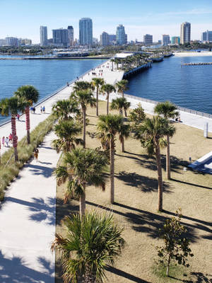 棕櫚樹成蔭的海濱步道，背景是晴朗日子裡的城市天際線。 — 城市風景 壁紙