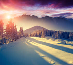 日落時分，白雪覆蓋的山谷，有松樹和遠峰。 — 自然風景動圖 壁紙