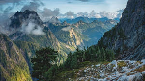 陽光照耀的山脈，有常綠樹和山谷中飄移的雲朵。 — 山脈 壁紙